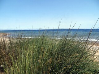 Fototapeta premium Palm beach with sea view and mountain