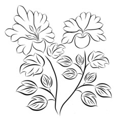 Beautiful rose bouquet flowers and green leaves growth on white background,hand drawn,creative with illustration in flat design.Floral pattern,decorative series for wallpaper.Valentine day concept.