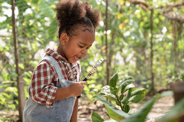 Happy kid girl use magnifying glass to tree pot at agriculture farm