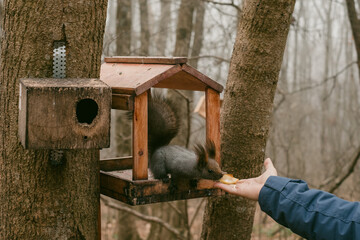 a person with a squirrel