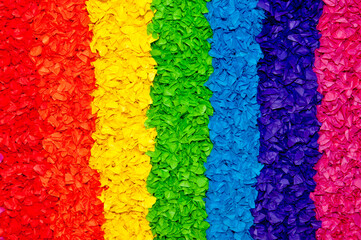 LGTBI flag for pride day.