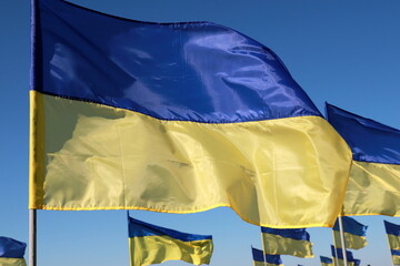 Many state flags of Ukraine are flying. Concept of heroic struggle of Ukrainian people against Russian war.