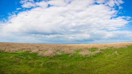 Fototapeta premium Beautiful Landscape image - grass and sky