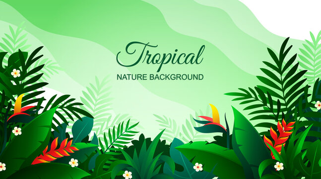 Tropical floral plants and flower background with flat style