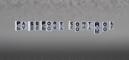 passport control word or concept represented by black and white letter cubes on a grey horizon background stretching to infinity