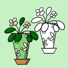 Indoor plant in a green pot with a pattern, saintpaulia flower with white flowers, cartoon vector illustration