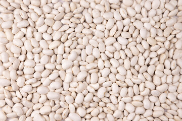 Background of white kidney beans close up, top view