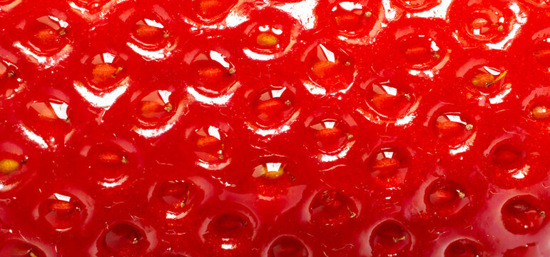 red strawberries close-up, macro photo