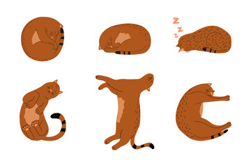Isolated hand-drawn vector illustrations of cat sleeping in different poses. Сat with brown striped fur.