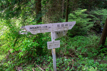 陣馬山の指導標　陣場新ハイキングコース
