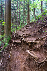 陣馬山　新ハイキングコース