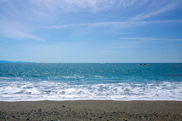 Fototapeta na wymiar 桂浜の海岸