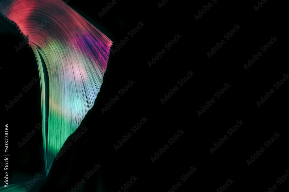 Fototapete Close up Beautiful book pages in the multi color light on a night. Background pattern for design. Macro photography view.