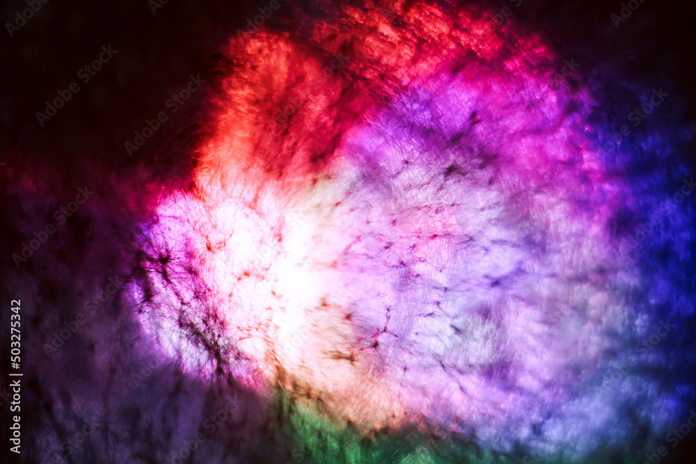 Poster Beautiful abstract texture circle in colorful light. Background pattern for design. Macro photography view.