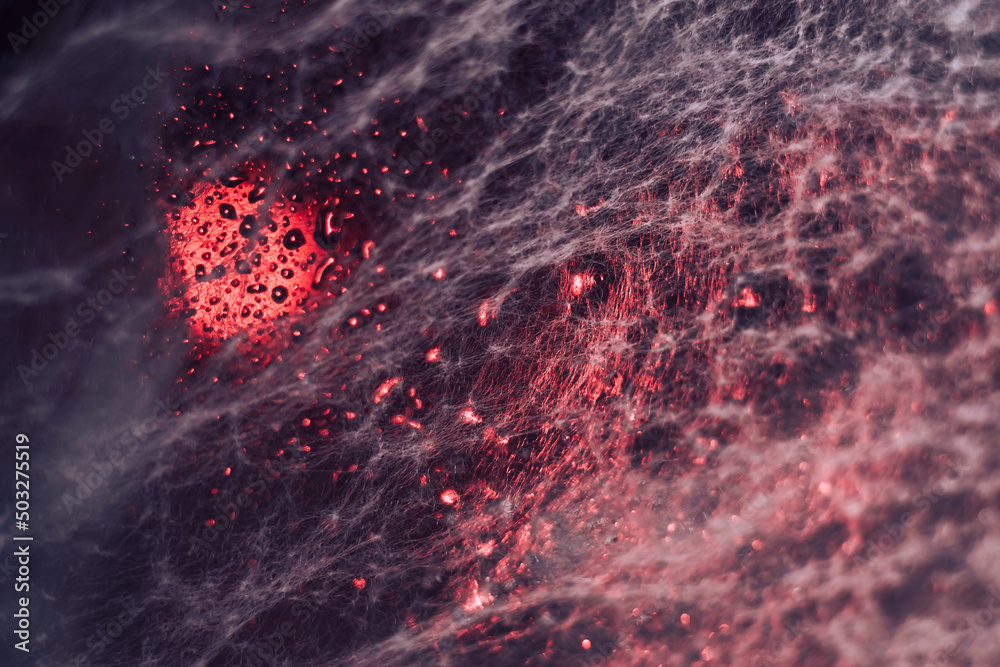 Aufkleber Beautiful abstract  red texture web. Background pattern for design. Macro photography view.