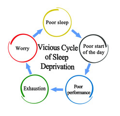  Vicious Cycle of Sleep Deprivation