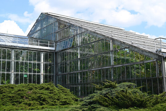 Palmiarnia building in the Park Wilsona, Poznan. Beautiful glass house in the city. Greenhouse with plants inside.