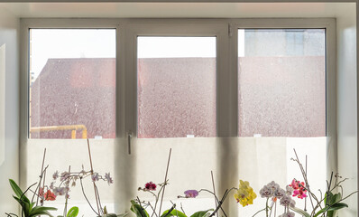 A window in a room with dirty glass with the rays of the morning sun through the street dust with orchid flowers on the windowsill.