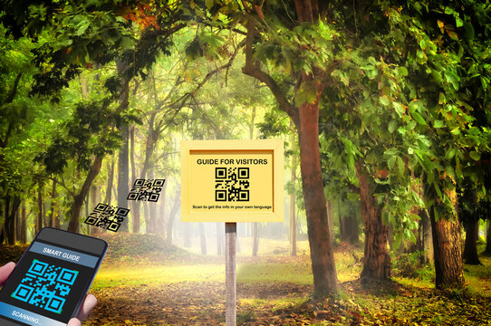Hand holding smartphone with scanning QR code travel guide screen with guide for visitors sign on beautiful mystical forest in the morning background. Smart technology concept and qr code idea