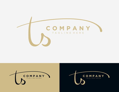 Letter TS handwritten logo design template.