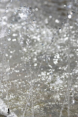 Obraz premium Splash of water in the fountain, abstract image.