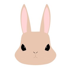 ウサギの顔のアップ　イラスト素材