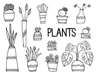 Potted flowers are drawn with a black line on a white background. Vector doodles.