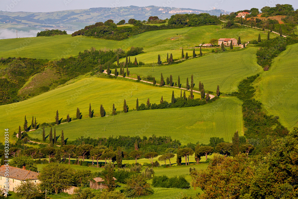 Wall mural val d'orcia, toscana. panorami