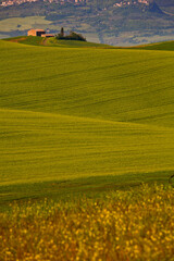 Val d'Orcia, panorami collinari