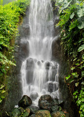 rainforest waterfall