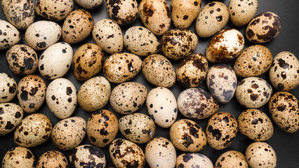 Obraz premium Group of quail eggs as a background. Raw eggs.