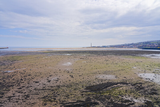 Across the River Tweed estuary at low tide