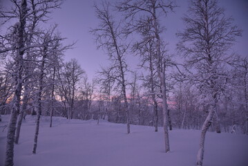 polar night in a small arctic village in Sweden, December 2018