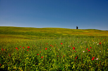 Val d'Orcia, panorami collinari