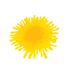 Vector illustration of yellow dandelion with green leaves