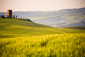 Val d'Orcia, panorami collinari