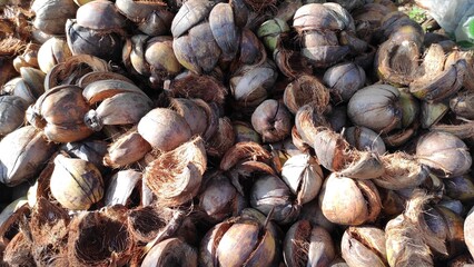 Abstract Defocused Pile of split coconut residue on the side of the road in Pangandaran, Indonesia