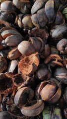 Abstract Defocused Pile of split coconut residue on the side of the road in Pangandaran, Indonesia
