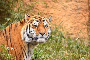 多摩動物公園