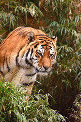 多摩動物公園