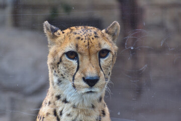 多摩動物公園
