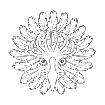 Abstract black and white illustration with eagle head and feathers. Isolated vector object on white background.