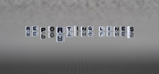 reporting lines word or concept represented by black and white letter cubes on a grey horizon background stretching to infinity