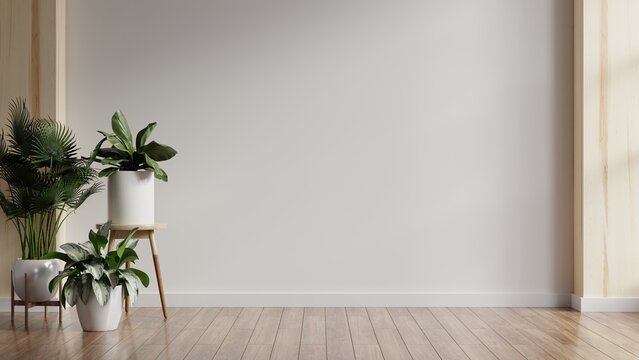 Plants on a wooden floor in empty white room.