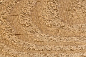 Naklejka premium close up of rough wood texture