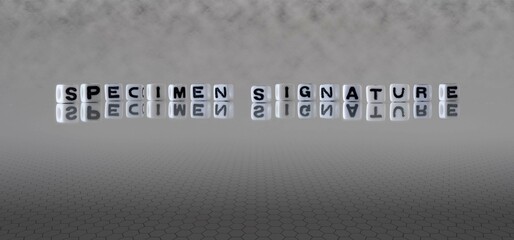 specimen signature word or concept represented by black and white letter cubes on a grey horizon...