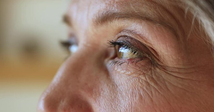Close up green eyes of hoary old lady with thick black eyelashes natural makeup on wrinkled face skin. Calm confident middle aged senior woman looking at distance without glasses having good eyesight