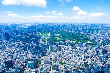 Fototapeta premium Aerial photo of the Imperial Palace in Tokyo
