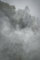 Fototapeta na wymiar Dramatic fog over forest and dark mood in the mountains - Königssee Alps