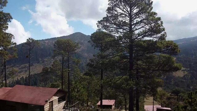 Un centro ecoturistico en la monta&ntilde;a, rodeado de bosque de coniferas